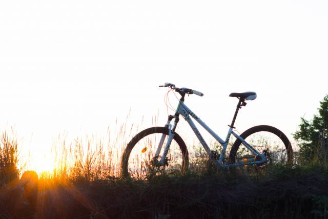 Fahrrad steht auf einer Wiese