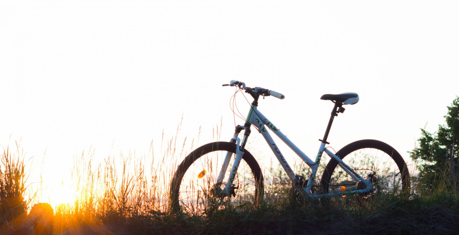 Fahrrad steht auf einer Wiese